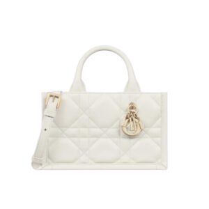 [탑티어/해외배송]디올 북토트 미니 백(라떼/까나쥬/카프스킨)